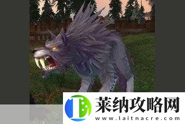 猎人宠物在冰冠冰川