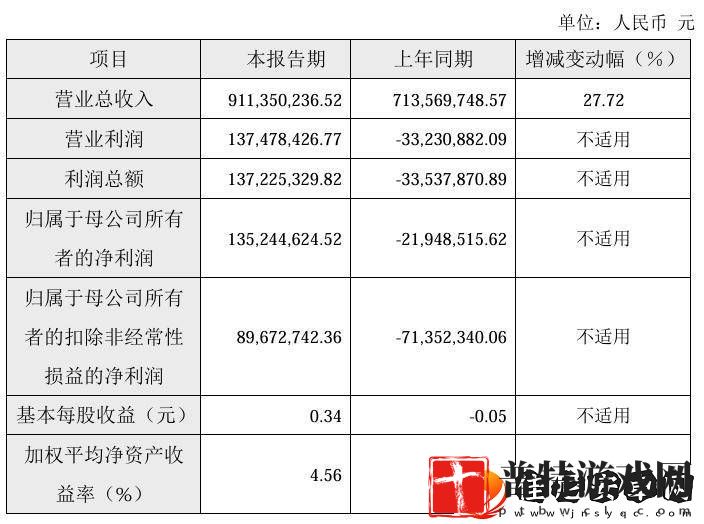 中微半导体2024年业绩大反转